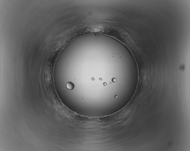 X0000116791442200912181243