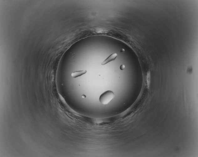 X0000116791443200912181243