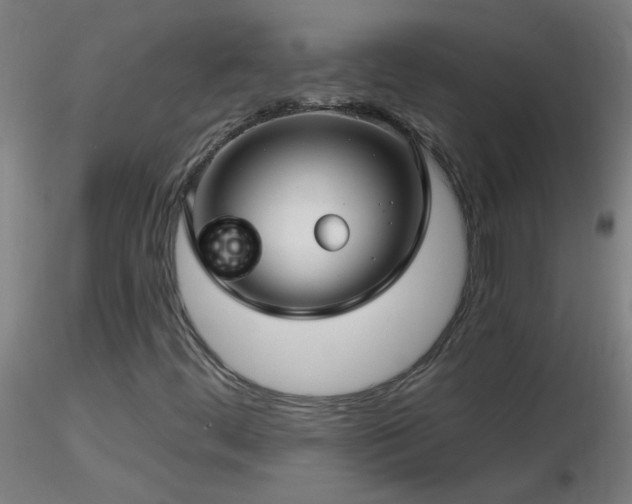 X0000116791444200912181243