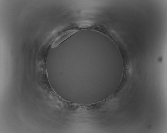X0000116791445200912181243