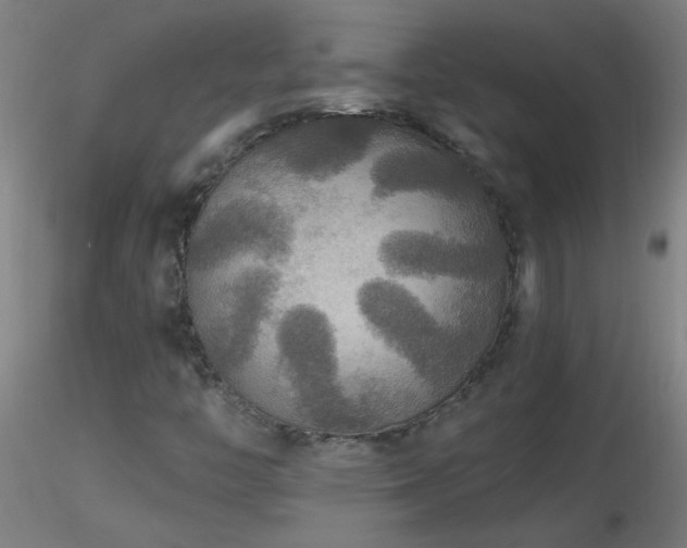 X0000116791446200912181243