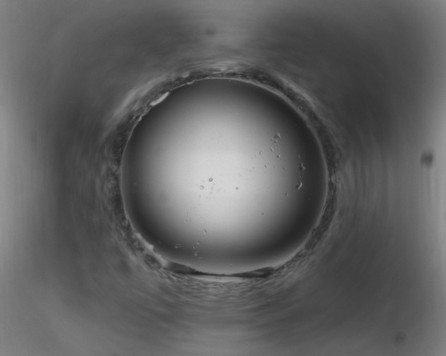 X0000116791447200912181243