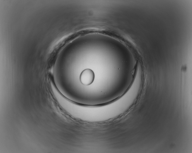 X0000116791448200912181243