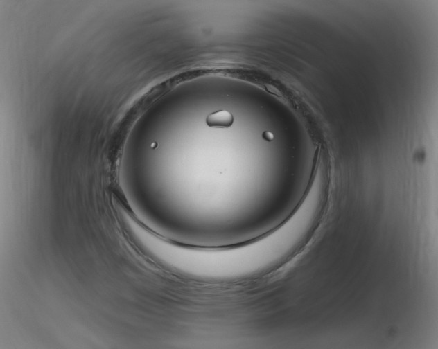 X0000116791449200912181243