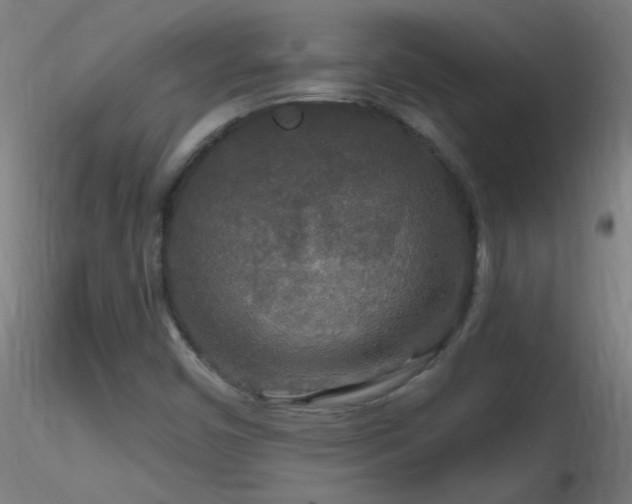 X0000116791450200912181243