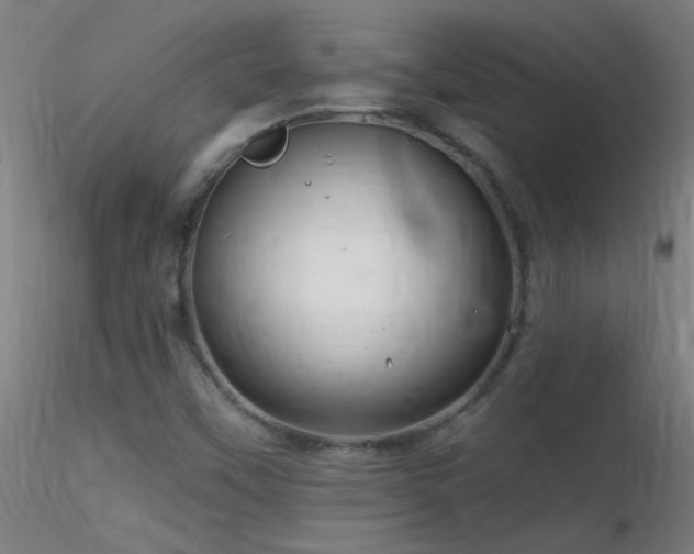 X0000116791451200912181243
