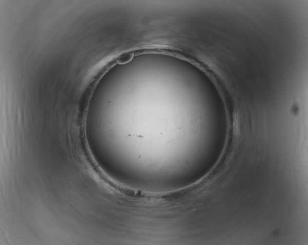 X0000116791452200912181243