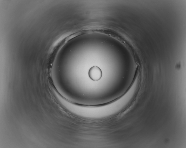 X0000116791453200912181243