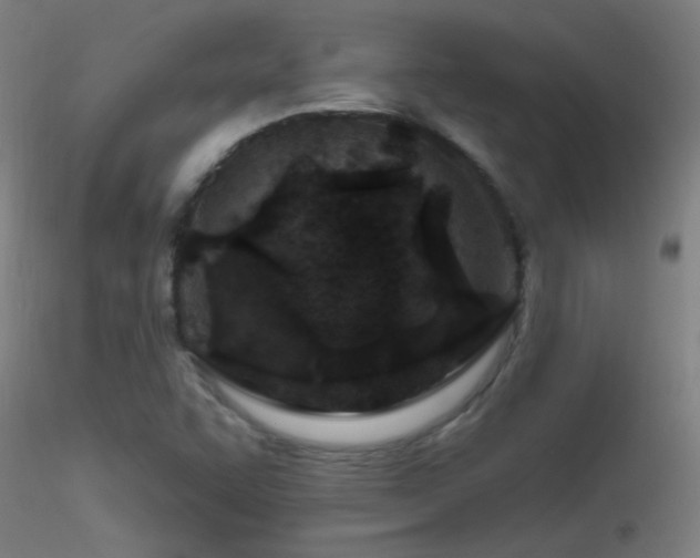 X0000116791455200912181243