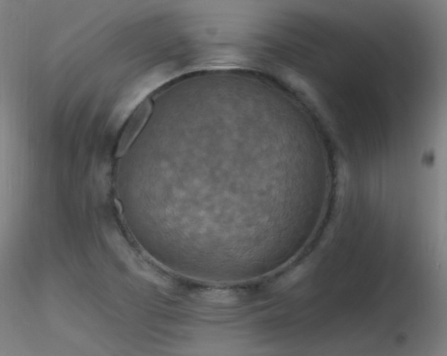 X0000116791457200912181242