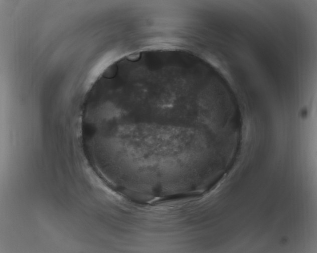 X0000116791459200912181242