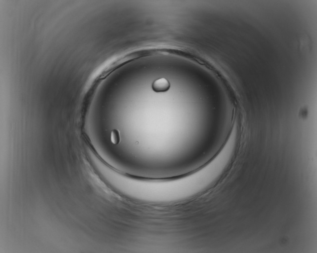 X0000116791460200912181242
