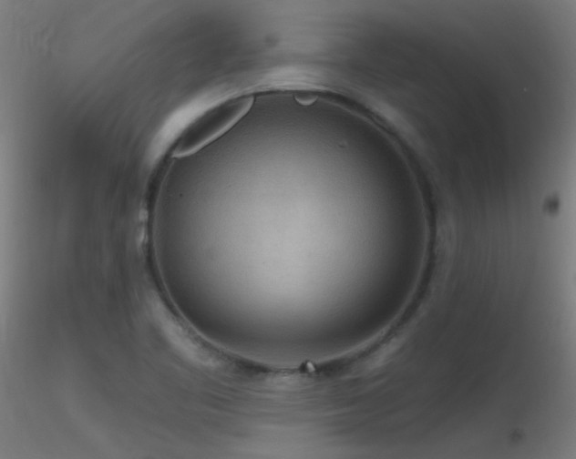 X0000116791461200912181242