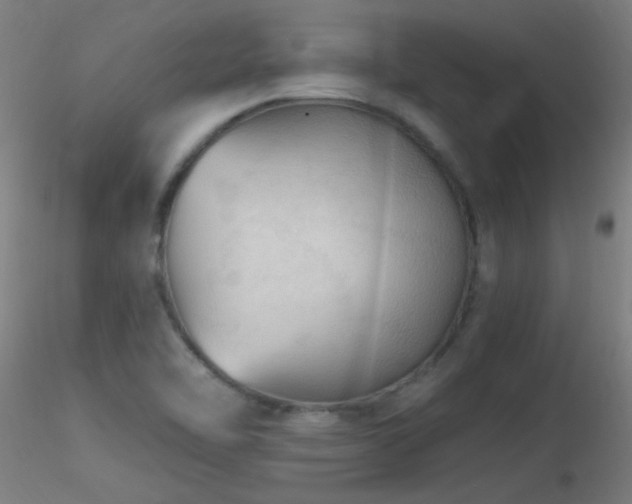 X0000116791462200912181242