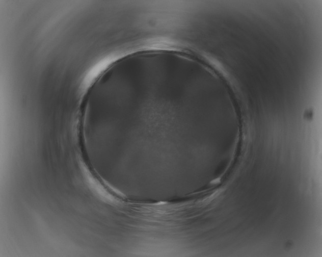 X0000116791463200912181242