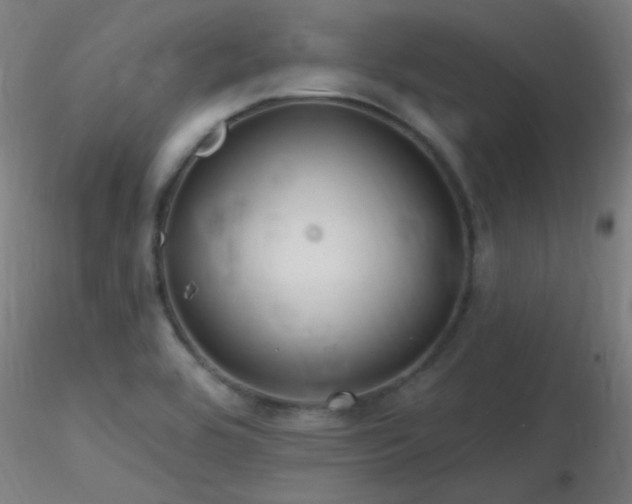 X0000116791464200912181242