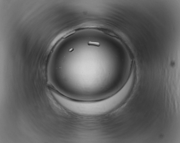 X0000116791465200912181242