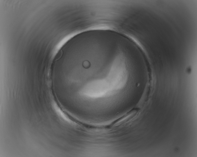 X0000116791468200912181242