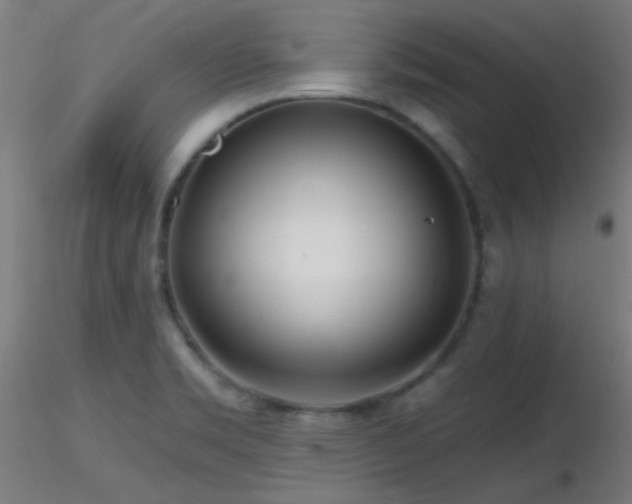 X0000116791469200912181242