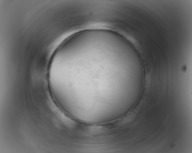 X0000116791470200912181242