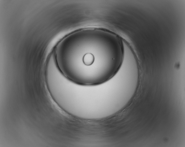X0000116791472200912181242