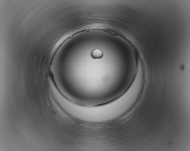 X0000116791473200912181242