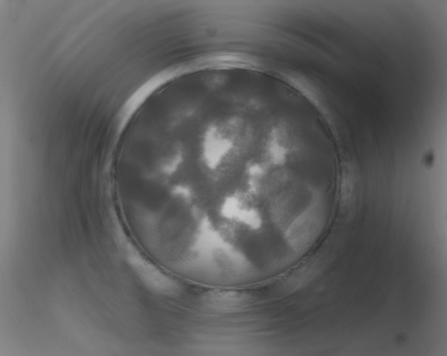 X0000116791474200912181242