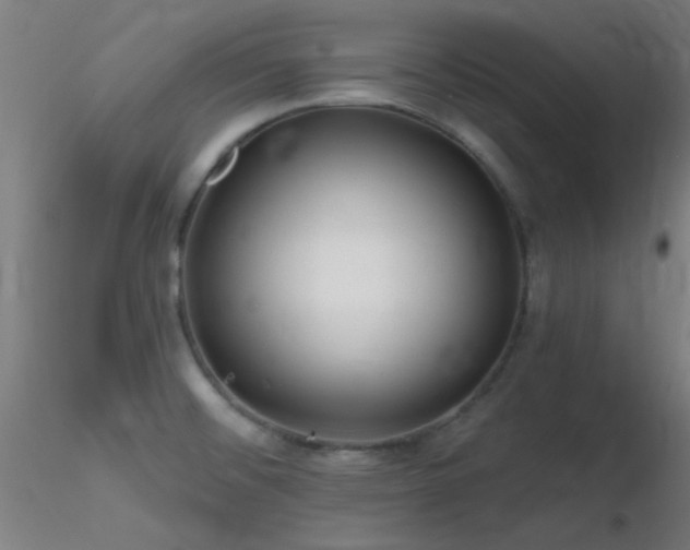 X0000116791476200912181242