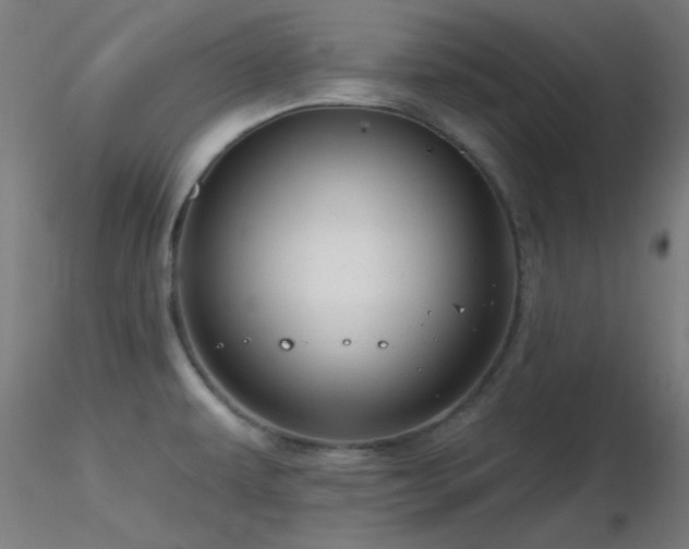 X0000116791479200912181242