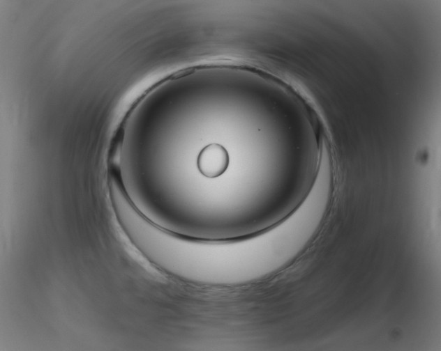 X0000116791480200912181242
