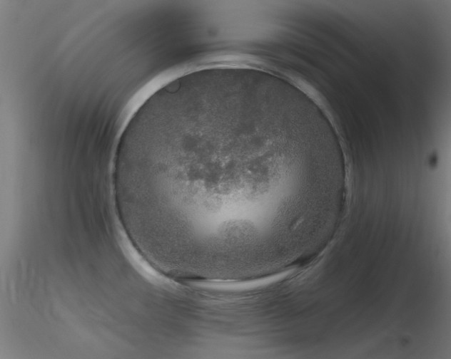X0000116791482200912181242
