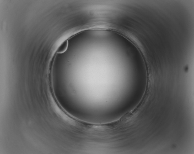 X0000116791483200912181242
