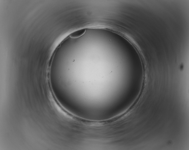 X0000116791484200912181242