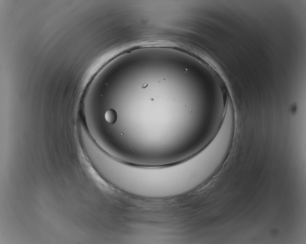 X0000116791485200912181242
