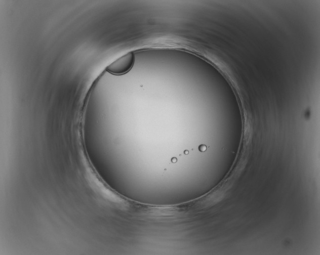 X0000116791486200912181242