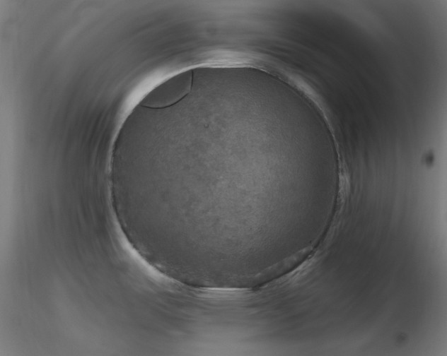 X0000116791487200912181242
