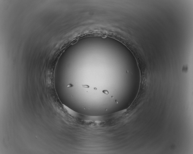 X0000116791490200912181241