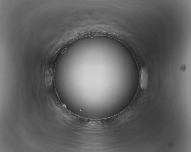 X0000116791491200912181241