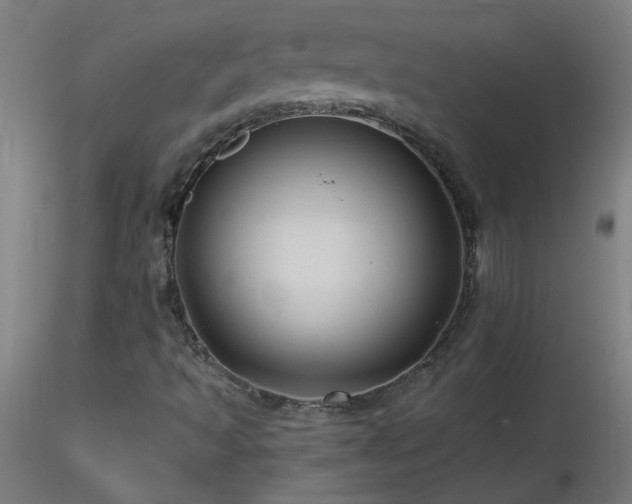 X0000116791493200912181241