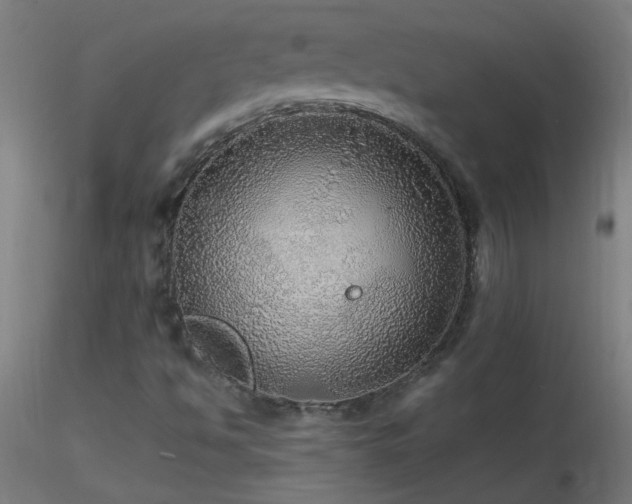 X0000116791494200912181241