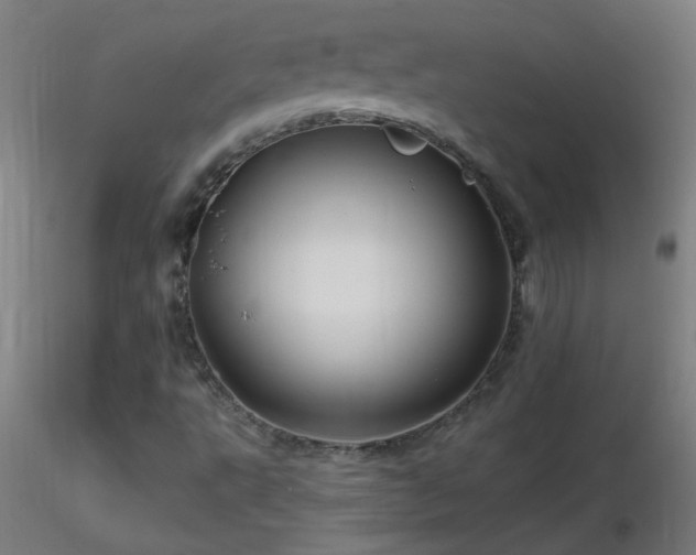 X0000116791495200912181241