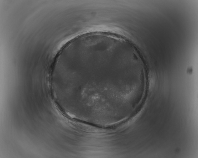 X0000116791497200912181241