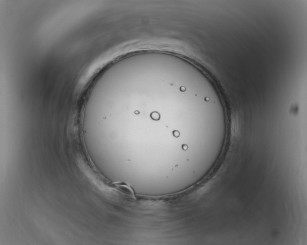 X0000116791498200912181241