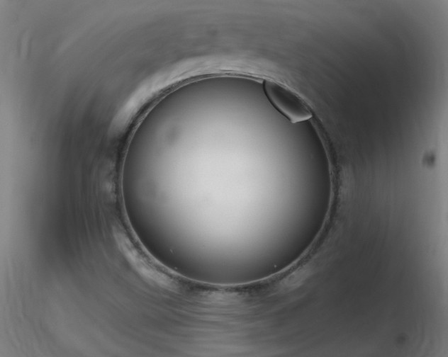 X0000116791499200912181241