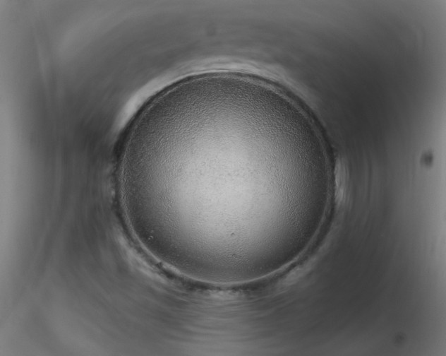 X0000116791501200912181241