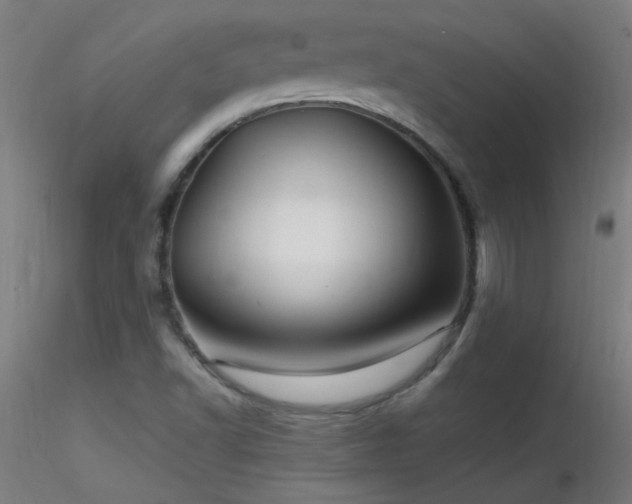 X0000116791502200912181241
