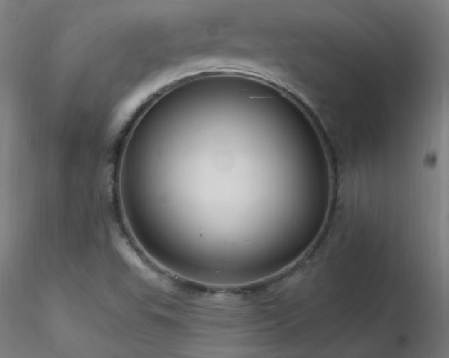 X0000116791503200912181241