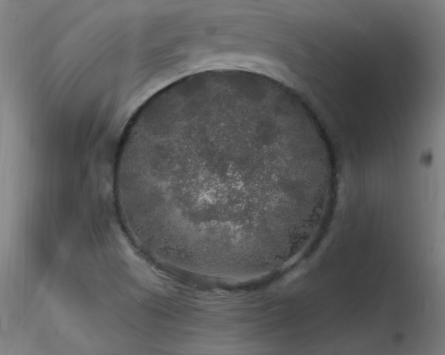 X0000116791505200912181241