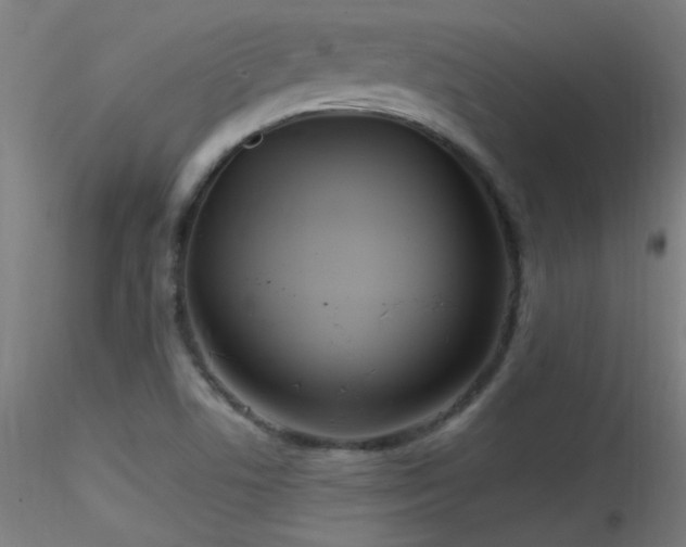 X0000116791506200912181241