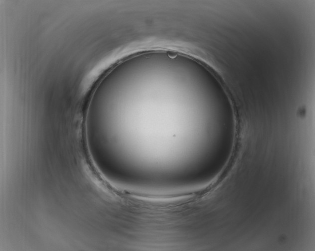 X0000116791507200912181241